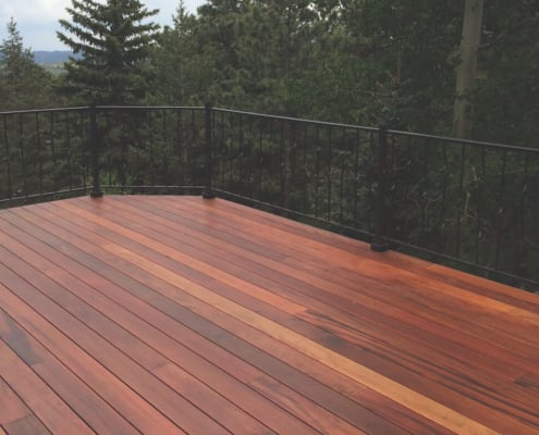 tigerwood- deck-with-black-steel-railing A deck sits in front of a conifer forest. The corners are cropped at a 45 degree angle. The railing is minimalist steel powdercoated black.